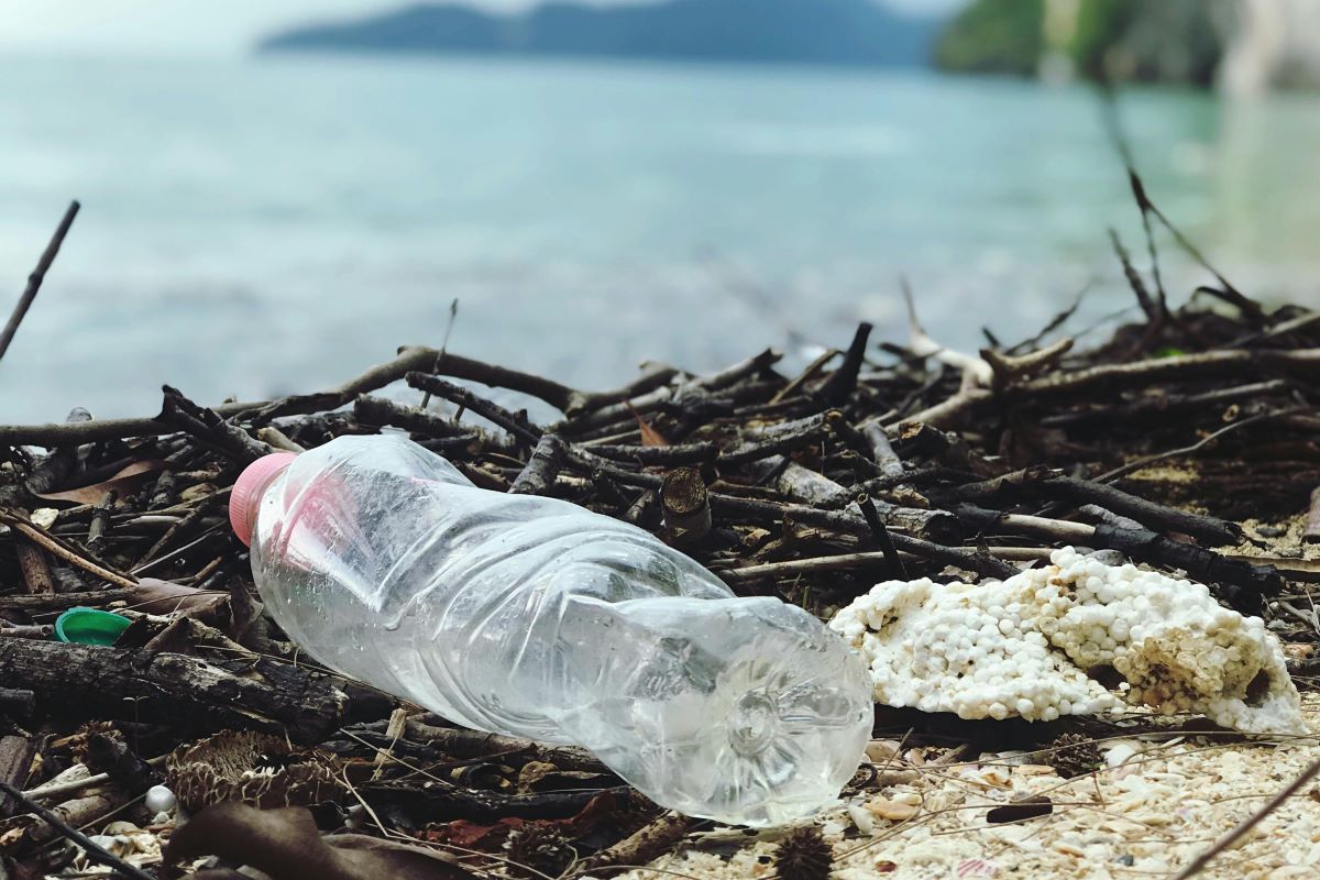 The Future of Waste Management: Moving Towards Zero Waste